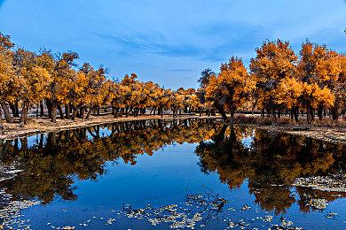 《庄园领主》以及更多游戏支持DLSS，全新Game Ready驱动发布